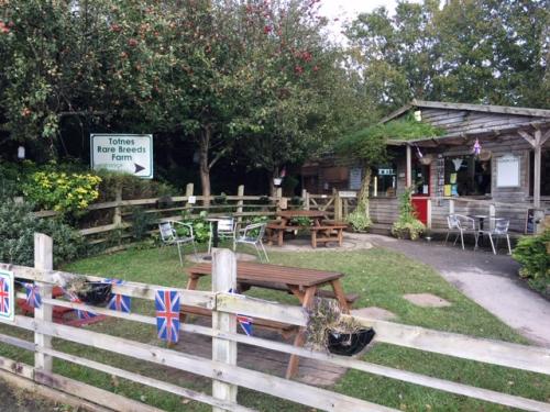 South Devon Railway - Steam Railway Journey between Buckfastleigh and Totnes