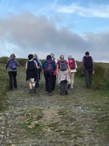 Walking on Dartmoor